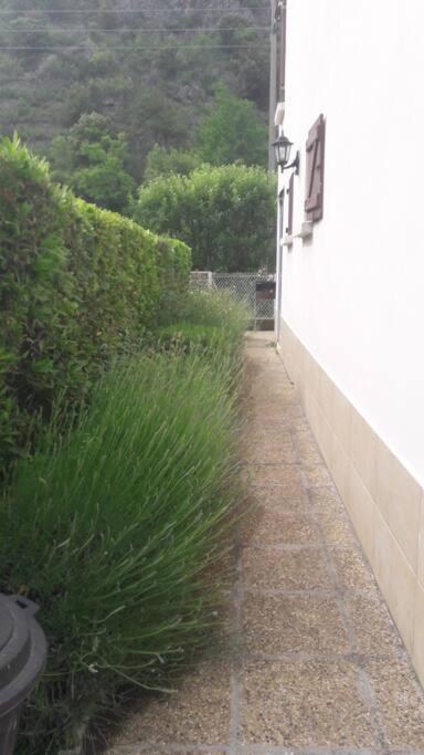 孔夫朗自由城Jolie Maison Avec Jardin别墅 外观 照片